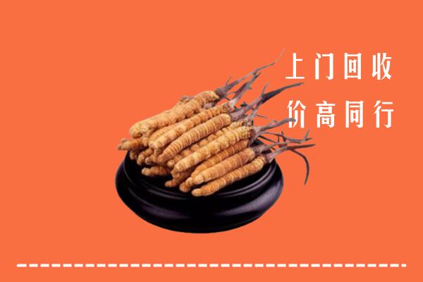 高价求购：镇江市回收散虫草