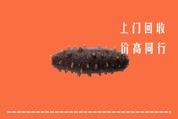 镇江市回收海参