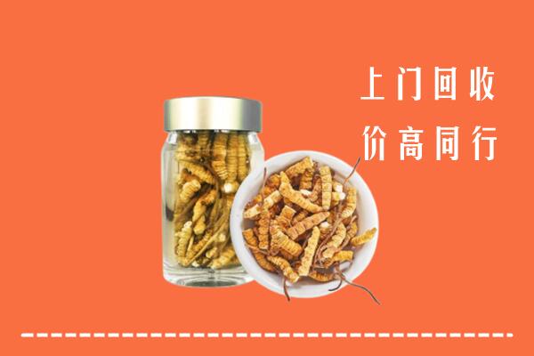 镇江市回收冬虫夏草